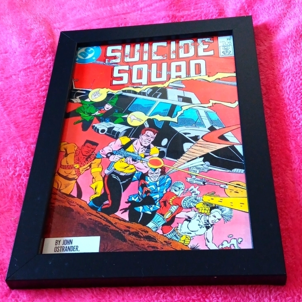 DC comics  frame suicide squad